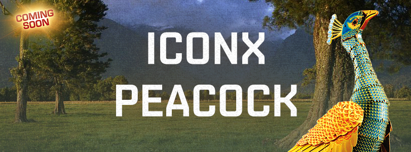 newsletter iconx peacock
