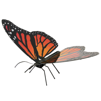 Picture of Monarch Butterfly