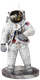Picture of Apollo 11 Astronaut