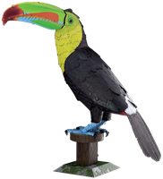 Picture of Keel-billed Toucan