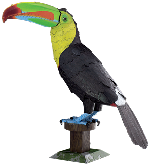 Picture of Keel-billed Toucan