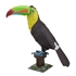 Picture of Keel-billed Toucan