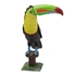 Picture of Keel-billed Toucan