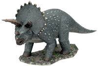 Picture of Triceratops