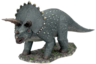 Picture of Triceratops