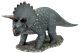 Picture of Triceratops