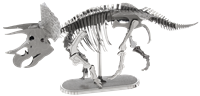 Picture of Triceratops Skeleton