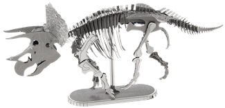 Picture of Triceratops Skeleton