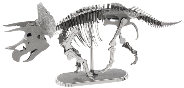 Picture of Triceratops Skeleton