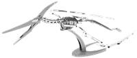 Picture of Pteranodon Skeleton