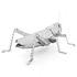 Picture of Grasshopper