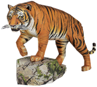 Picture of Bengal Tiger