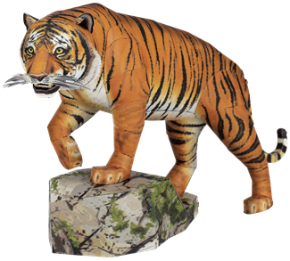 Picture of Bengal Tiger