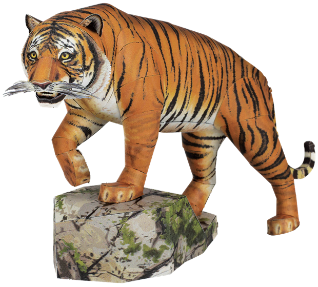 Picture of Bengal Tiger