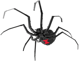 Picture of Black Widow Spider