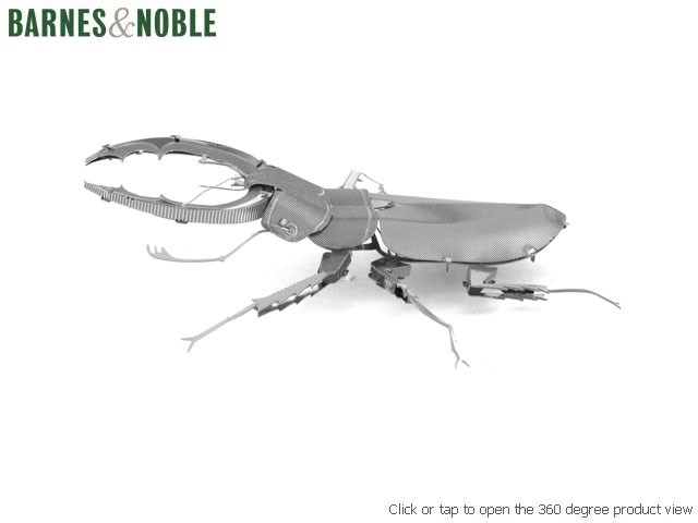 Stag Beetle